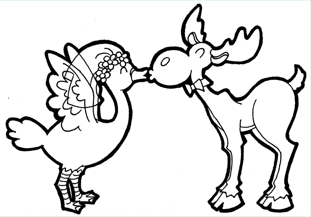 Have You Ever Seen a Moose Kissing a Goose? by AvidArtist1836 on ...