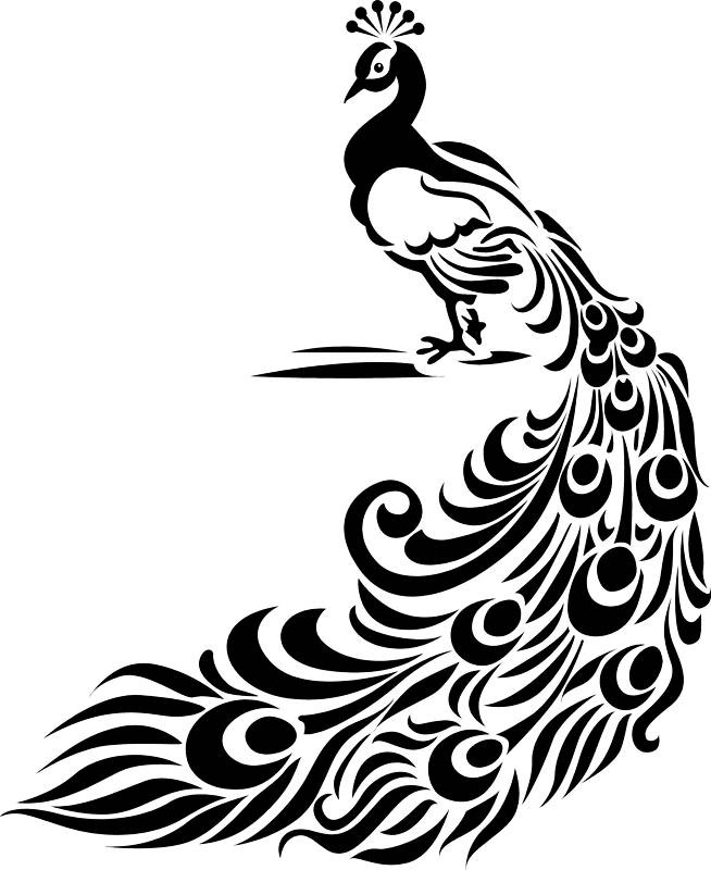 Beautiful standing up peacock with long feathers , Vinyl sticker ...