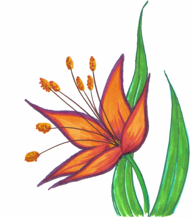 Sharpie Flower by lydia-seguin on deviantART
