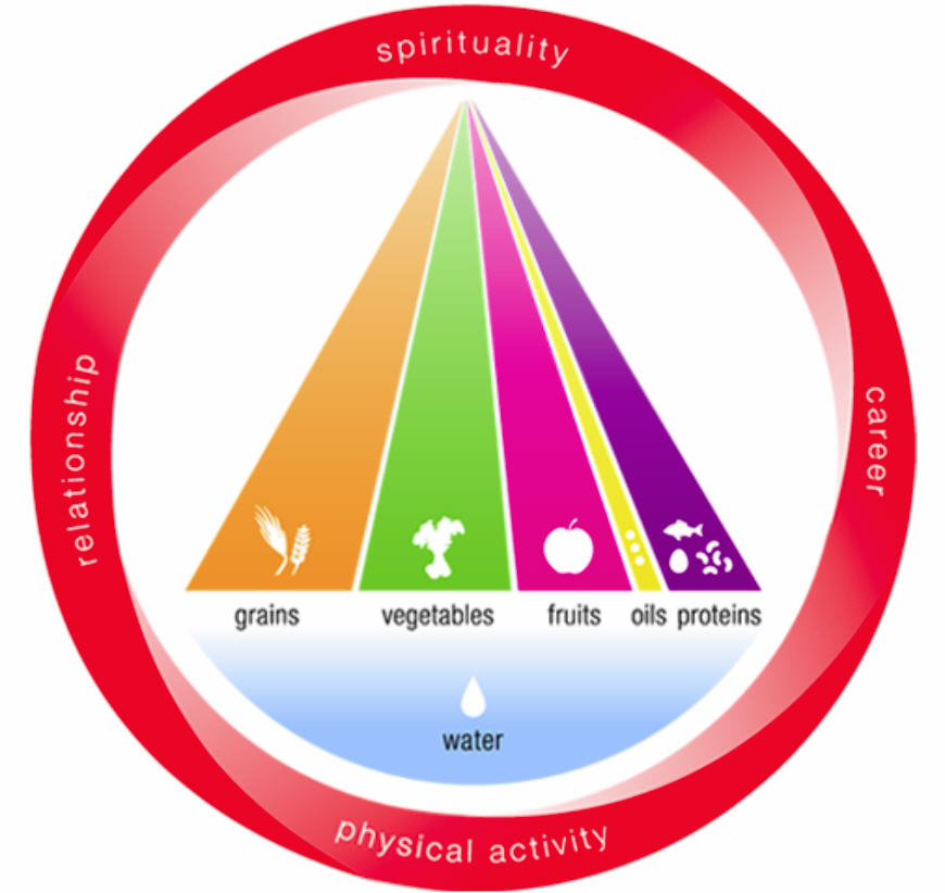 Healthy Lifestyle | The Balanced Approach