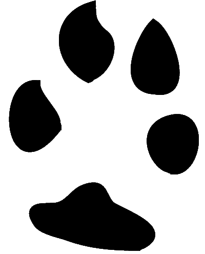 Paw Prints Clipart