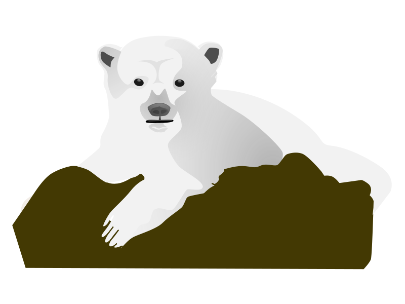 Baby Polar Bear Clipart