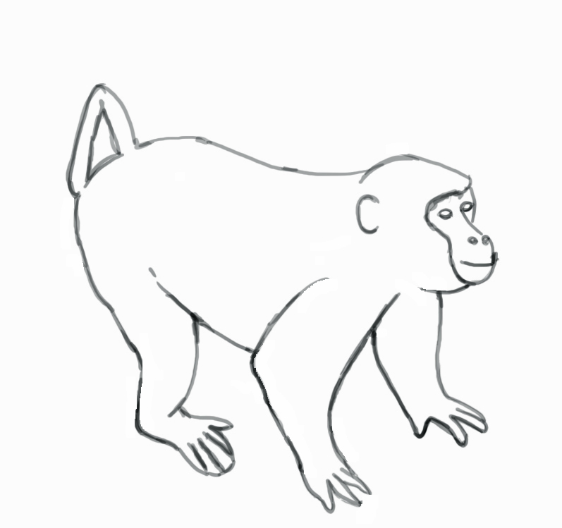 How To Draw a Monkey - Step-by-Step
