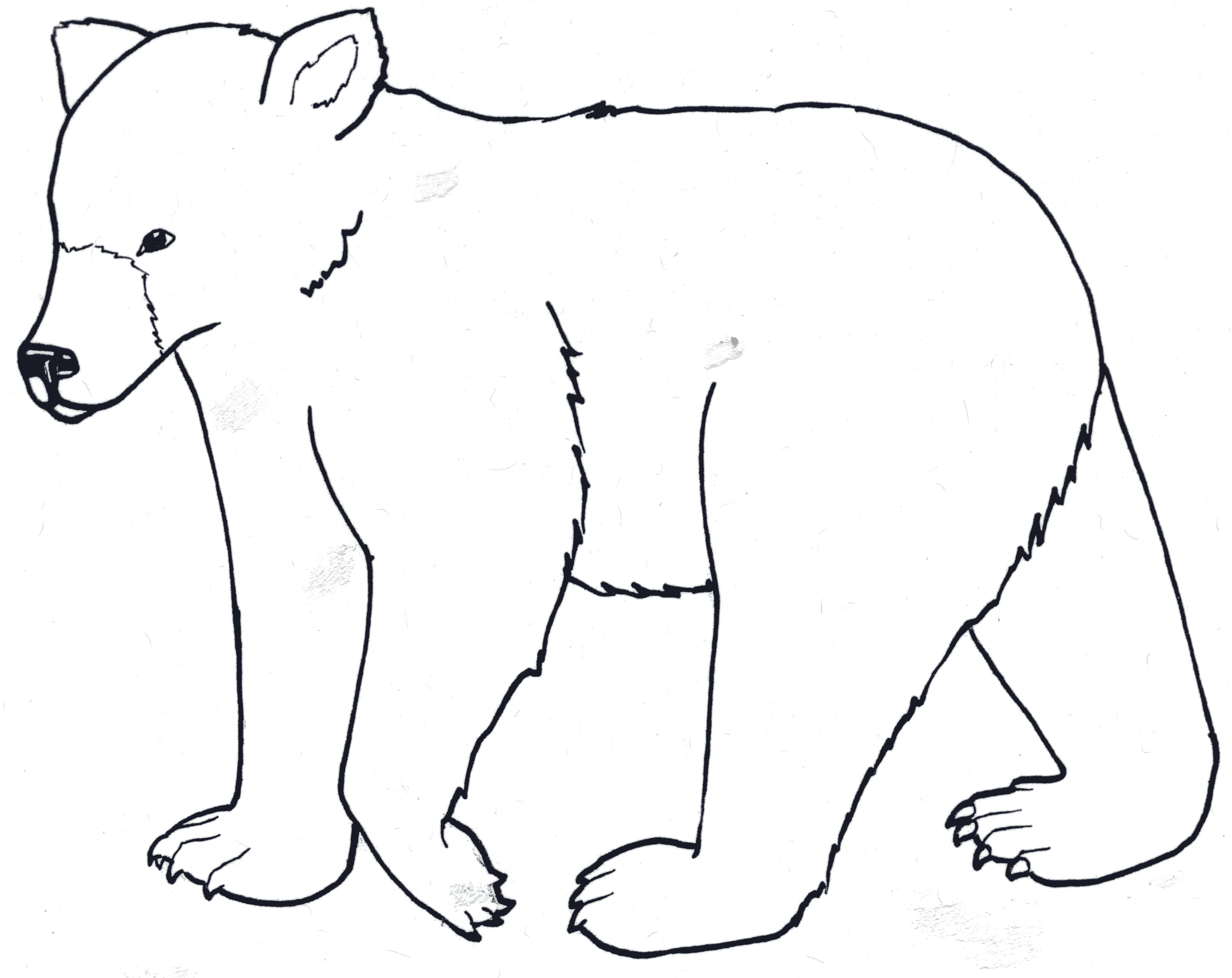 outline of a bear – 3682×2923 kids coloring pages, printable ...