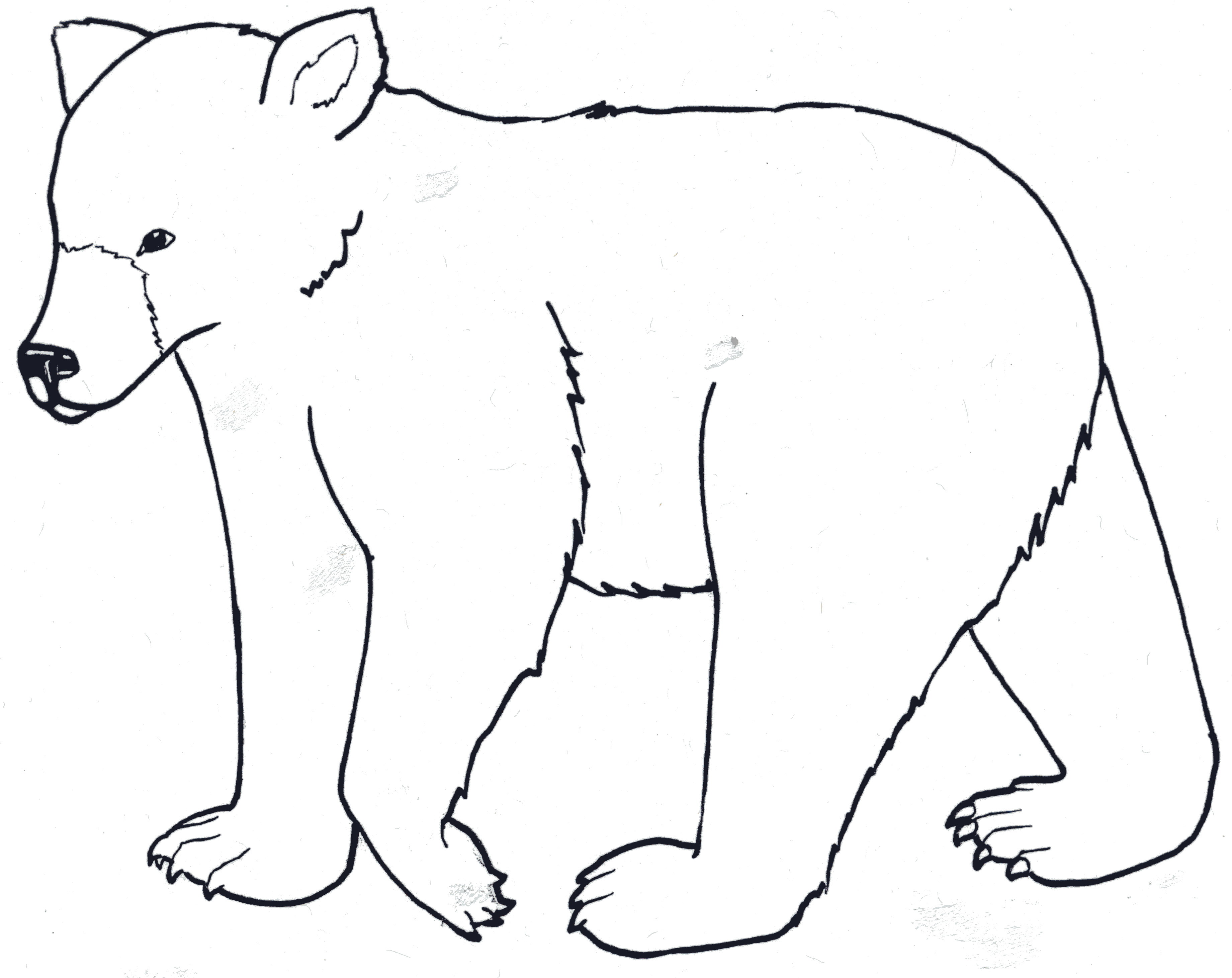Outline Of A Bear Cliparts co