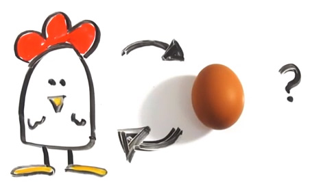 The Science of Which Came First, the Chicken or the Egg, Animated ...