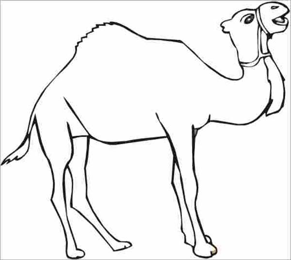 camel coloring pages for kids - photo #46