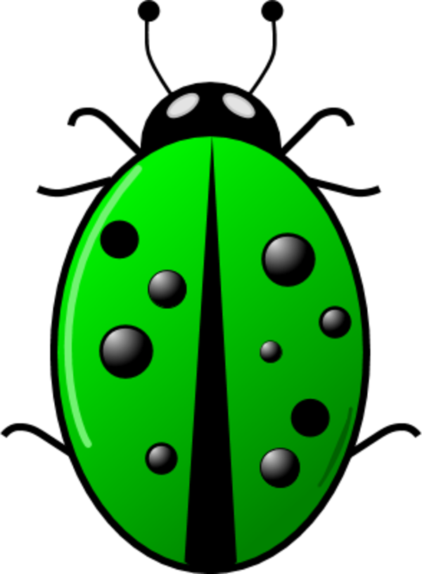 free vector ladybug clipart - photo #16