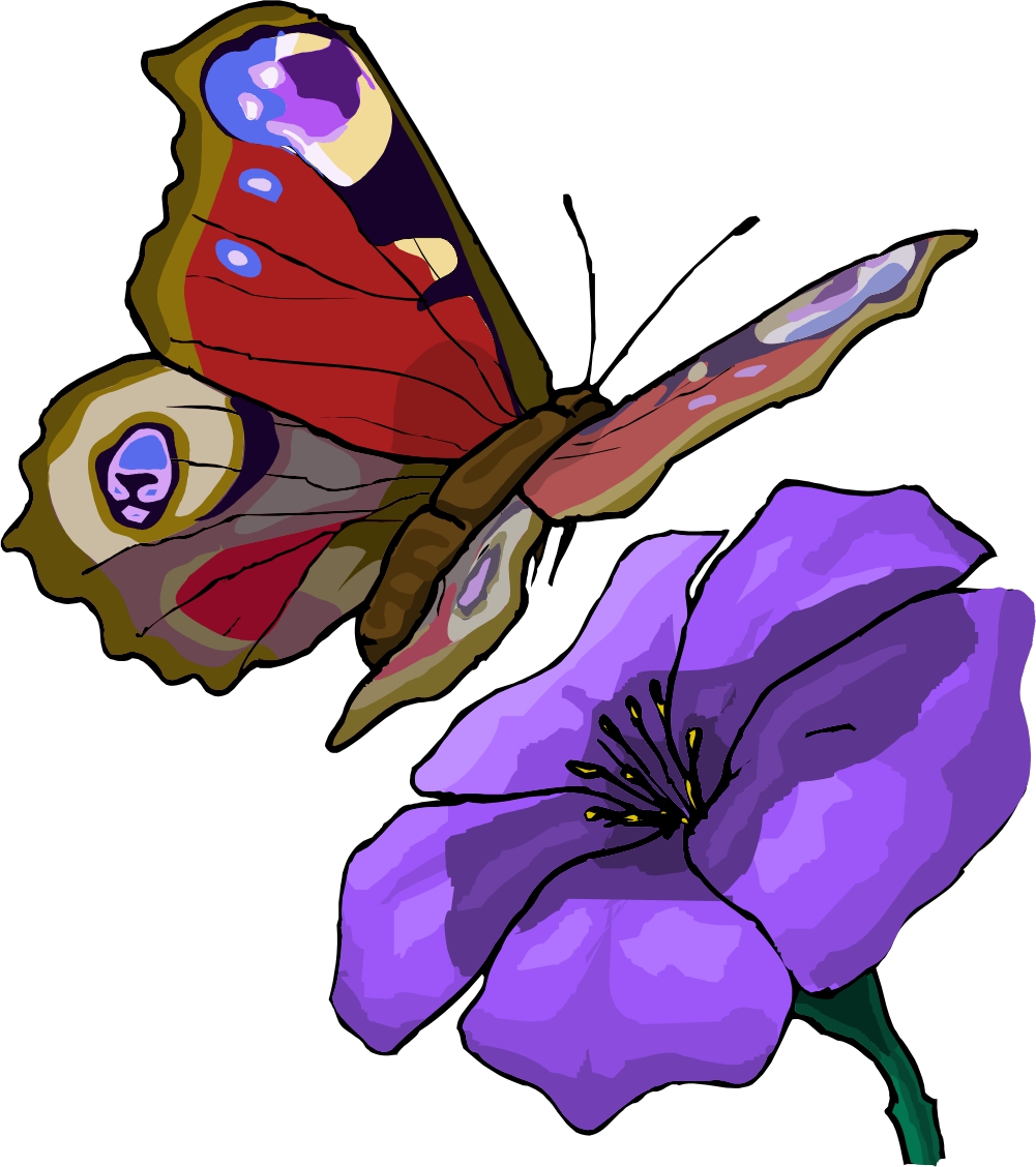 Cartoon Flowers And Butterflies Images & Pictures - Becuo