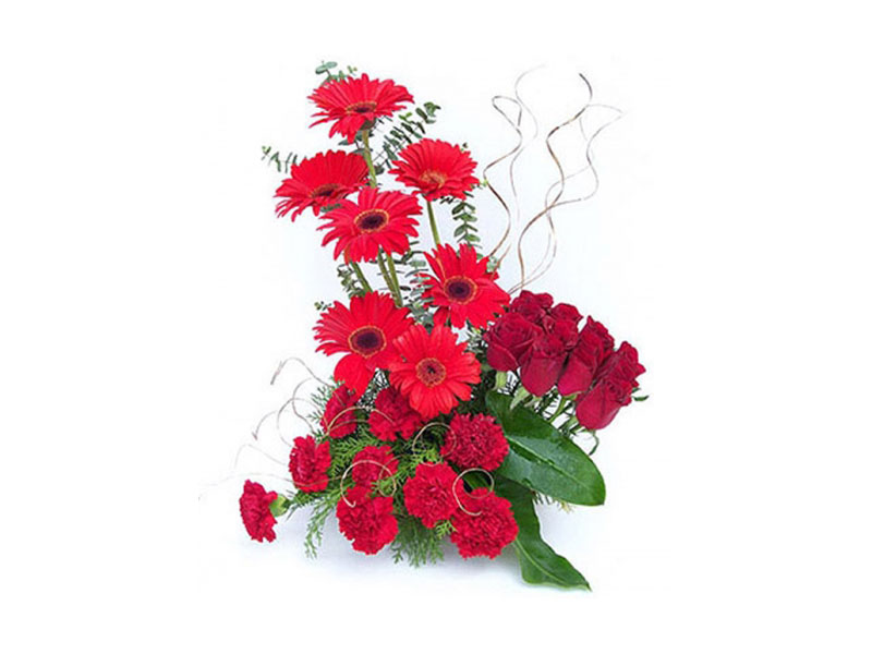 Buy Flowers Online | Order Flower Bouquets Online in India ...