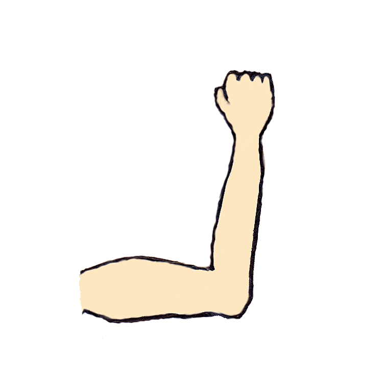 Muscle Arm Clip Art - Cliparts.co