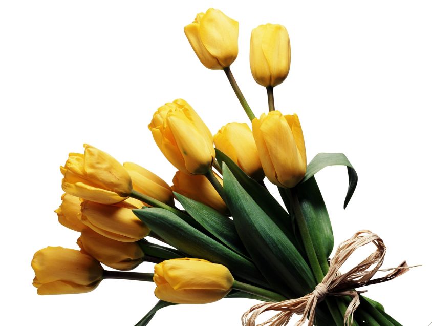 Flowers | Send Flowers | Gift Flowers | Wedding Flowers » Blog ...