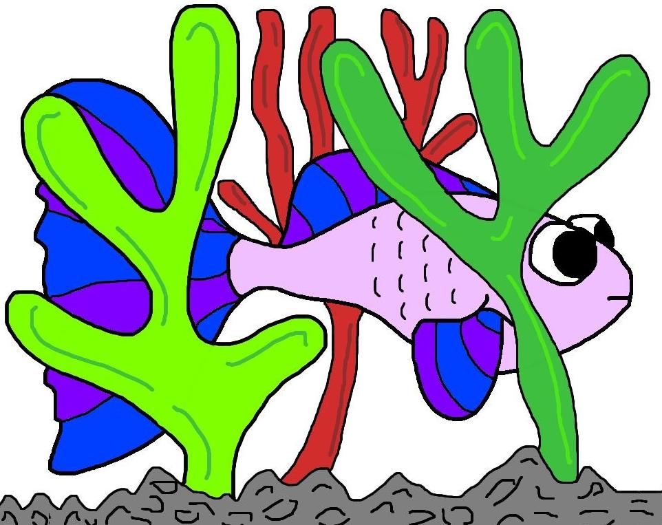 Do Goldfish Eat Algae? The Goldfish Tank Cliparts.co