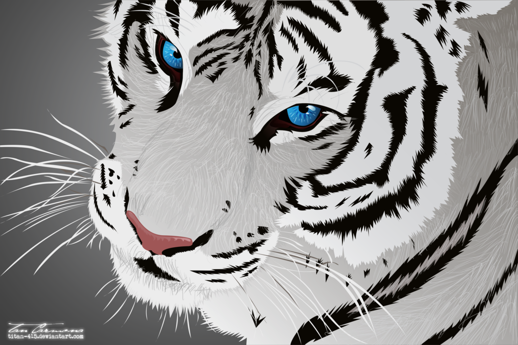 Eye of the White Tiger by titan-415 on DeviantArt