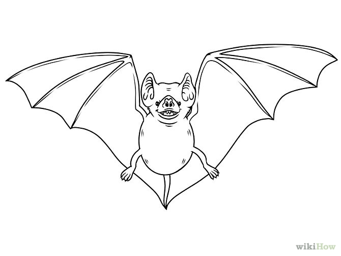 How to Draw a Bat (with Pictures) - wikiHow