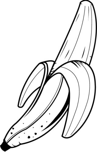 Fruit And Vegetable Clip Art Black And White - Gallery