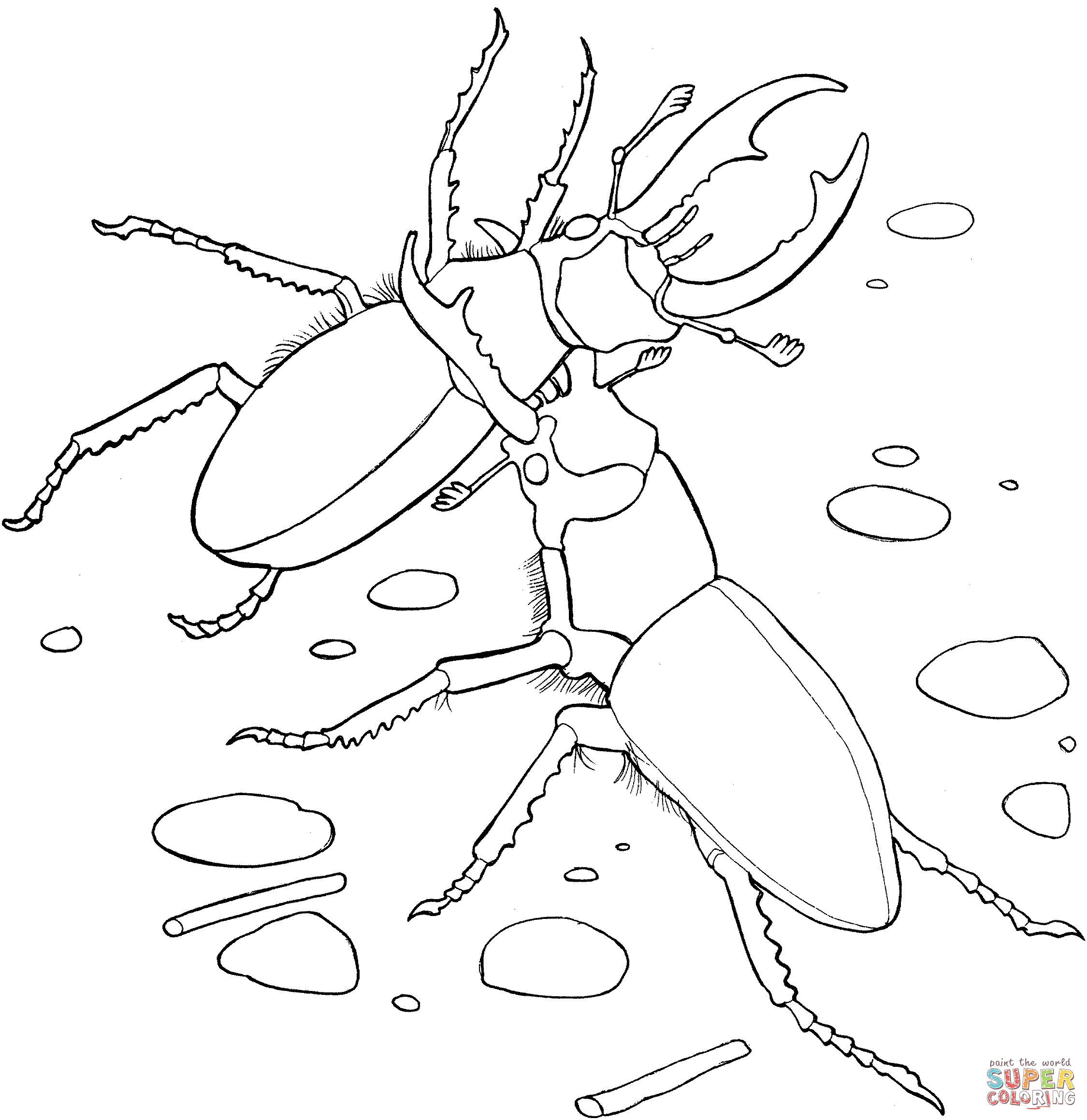 Elephant Stag Beetles Coloring page | Free Printable Coloring Pages