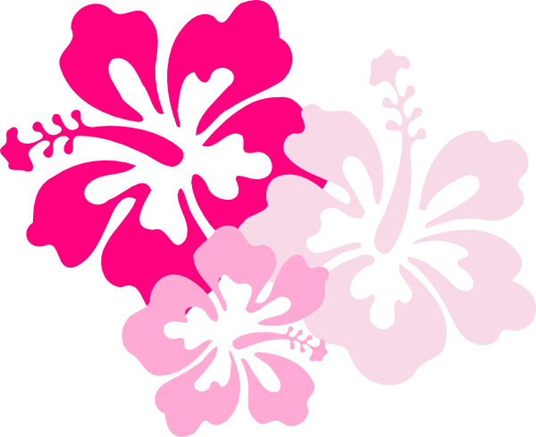 Drawings Pink Flower Drawn - Quoteko. - ClipArt Best - ClipArt Best