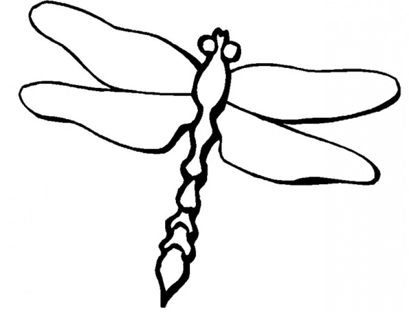 Pictures Dragonfly Coloring Pages - Kids Colouring Pages