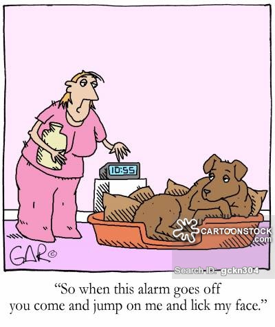 Wake Up Call Cartoons and Comics - funny pictures from CartoonStock