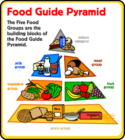 Five Main Food Groups Chart