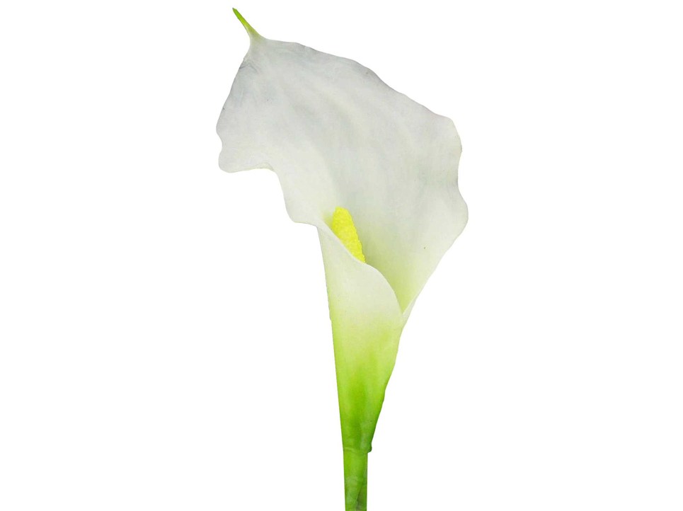White Mini Calla Lily | Shop Hobby Lobby
