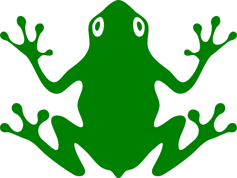 How did the frog make it to the mountaintop? | NextServices