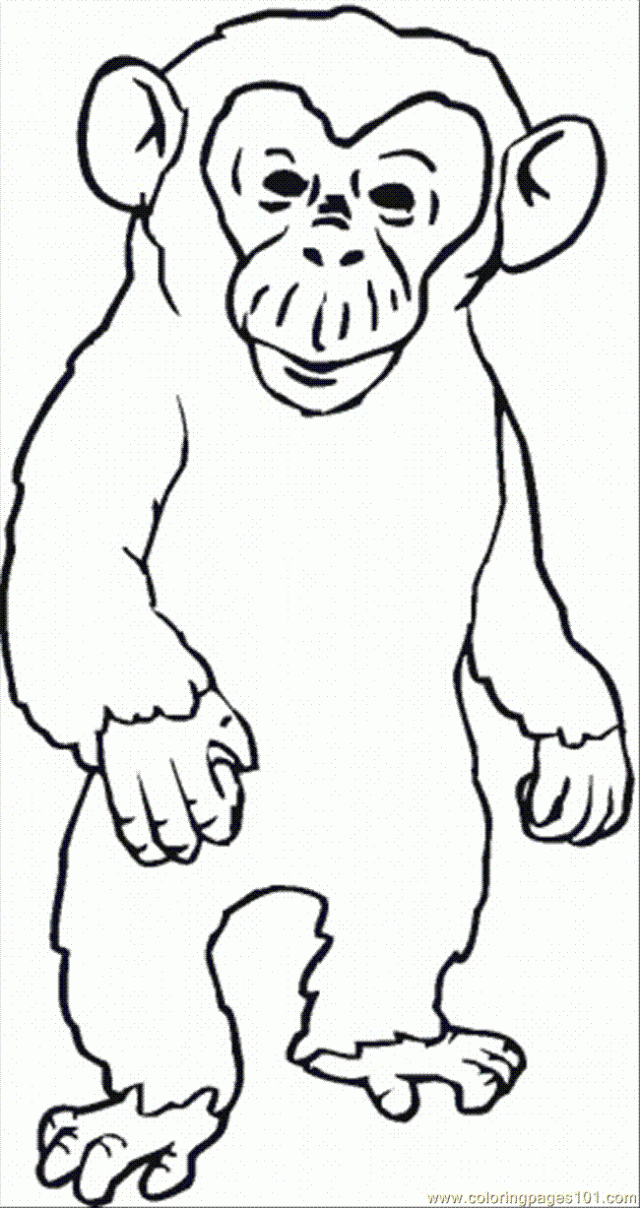 Chimpanzee Pictures For Kids Coloring Pages Coloring Pages For ...