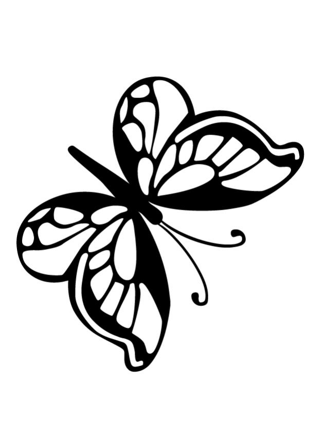 BUTTERFLY coloring pages - Magic Butterfly