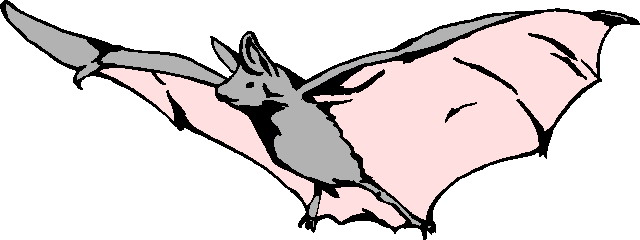 Clip Art - Clip art bats 181863