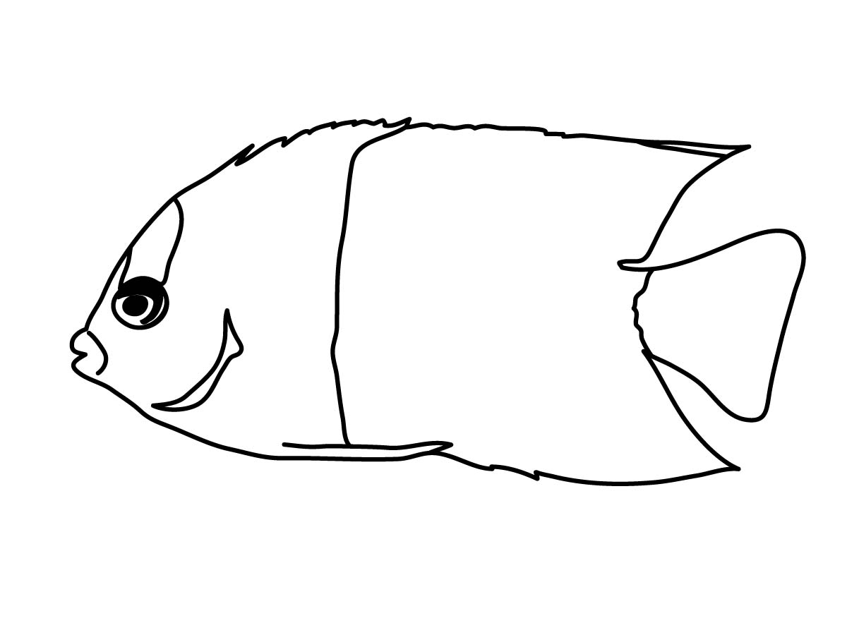 Coral Reef Fish Clipart | Clipart Panda - Free Clipart Images