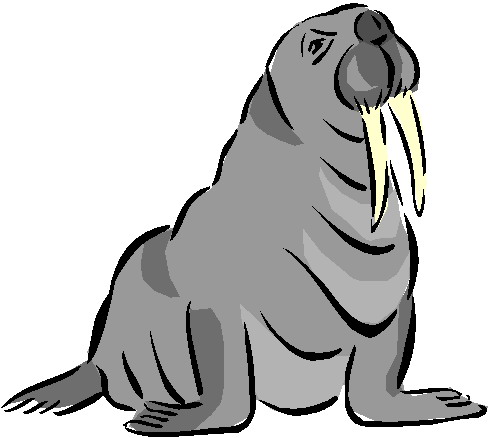 Walrus animal graphics | Clipart Panda - Free Clipart Images