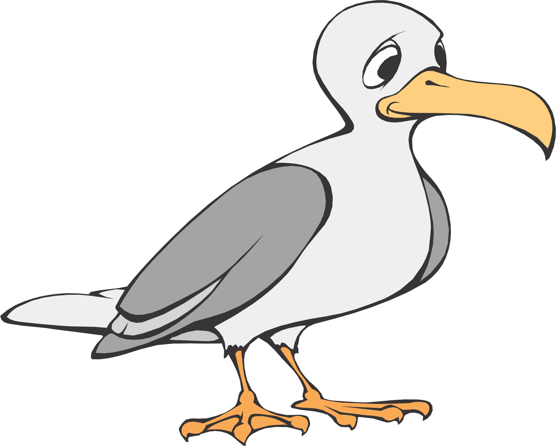 Images For > Clip Art Seagull