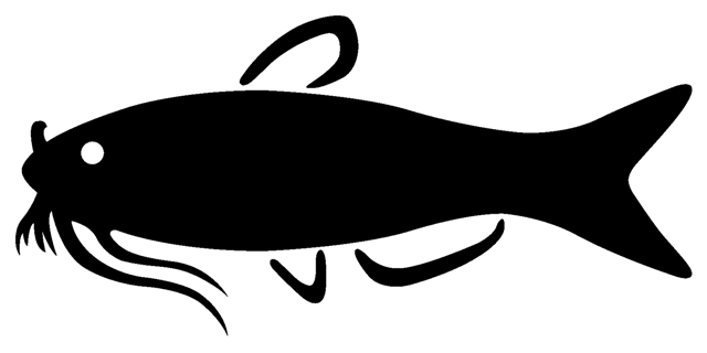 Catfish Logo Car Pictures