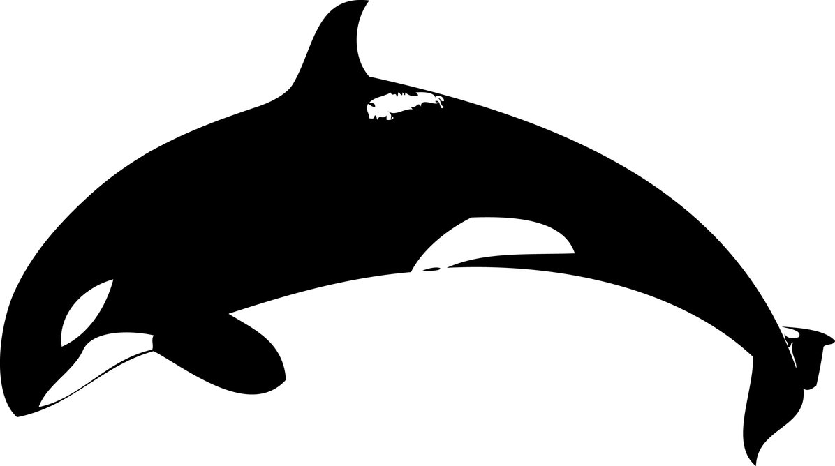 free whale clipart black and white - photo #34