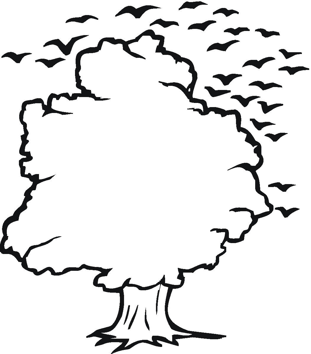 Tree outline coloring page - Coloring Pages & Pictures - IMAGIXS ...