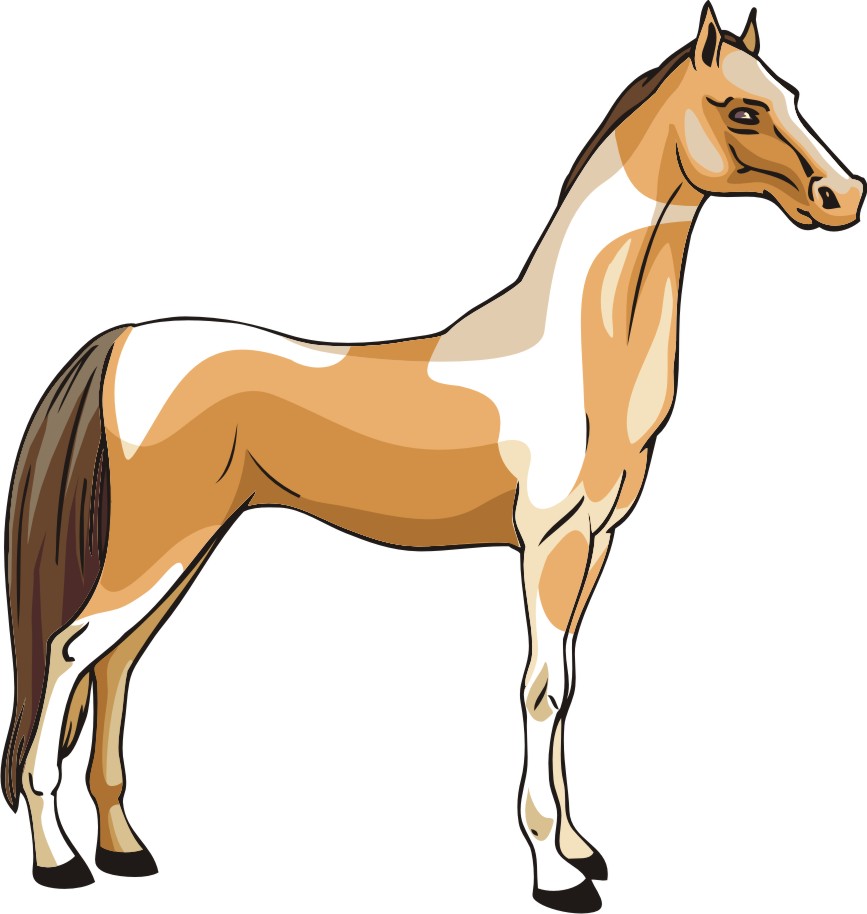 Free Horse Graphics - Cliparts.co