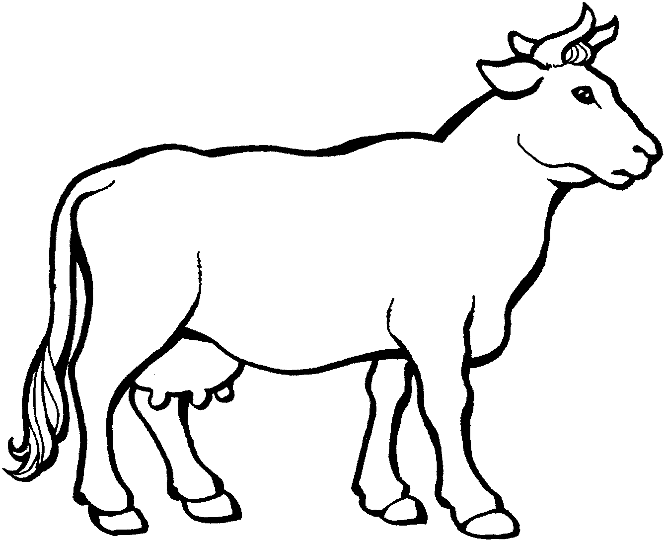 Images For > Cow Black And White Drawing