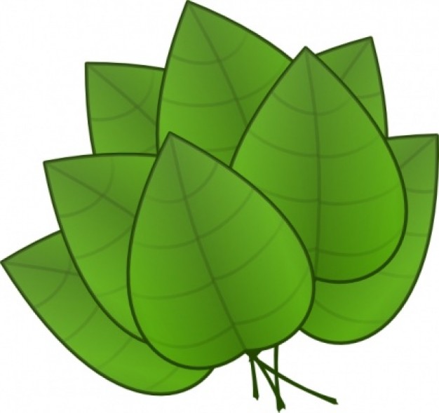 Leaves Clip Art (.) - Nature vector #37592 | Download Free Vector ...