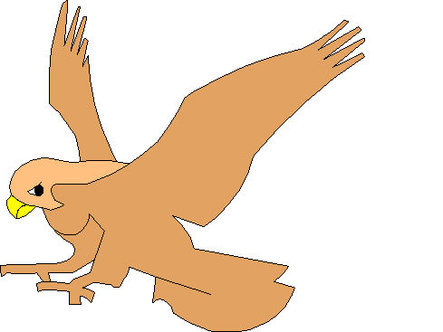 Hawk Clipart