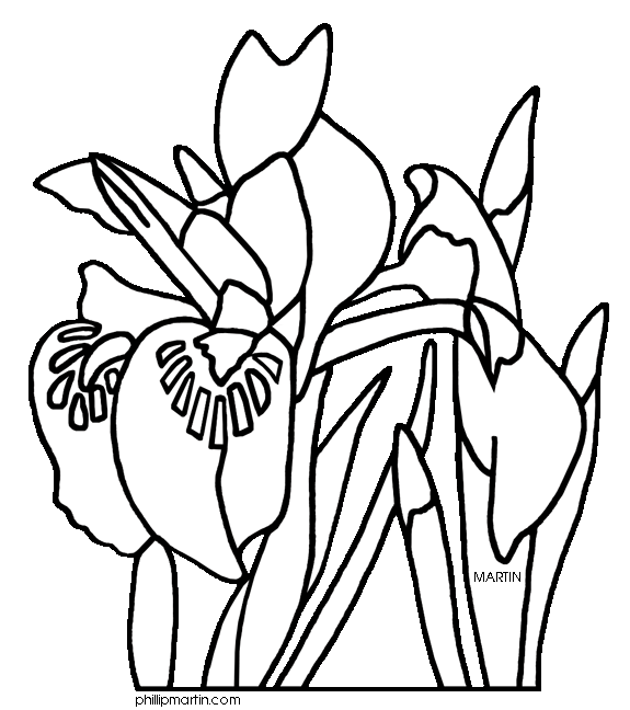 free iris flower clipart - photo #48