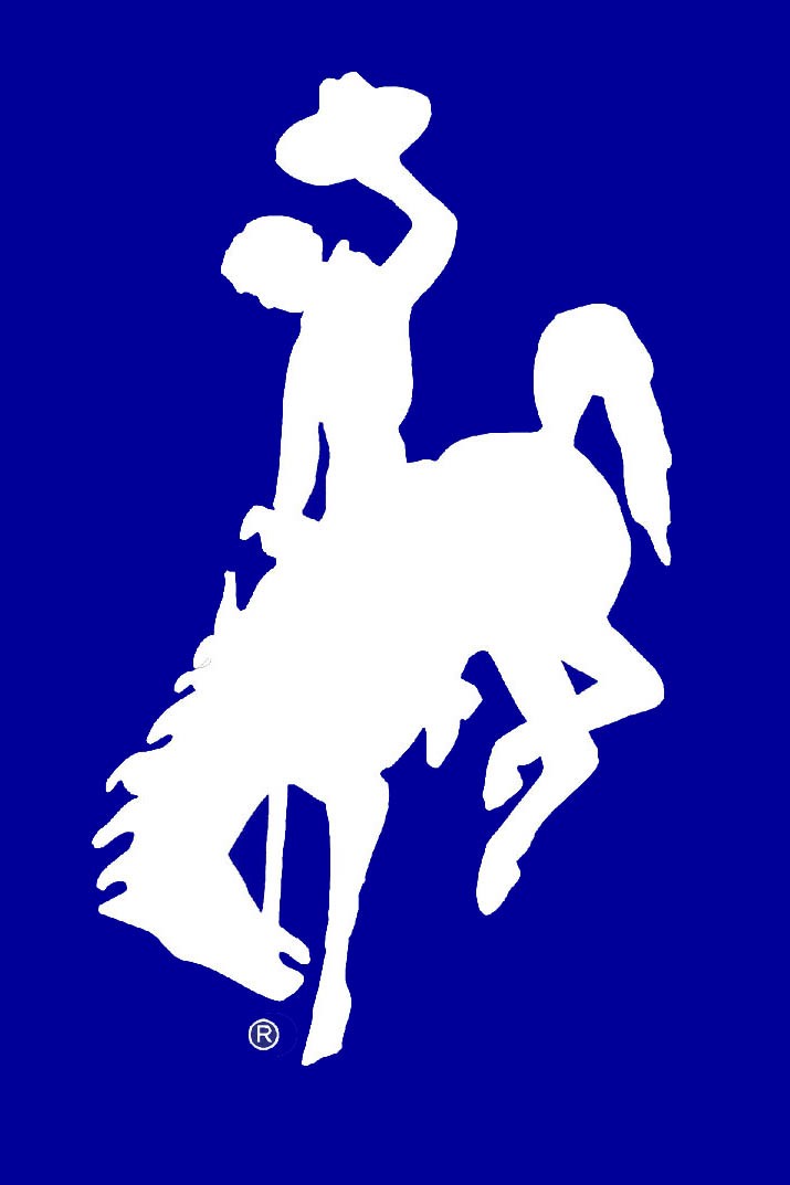 Bucking Horse And Rider Symbol