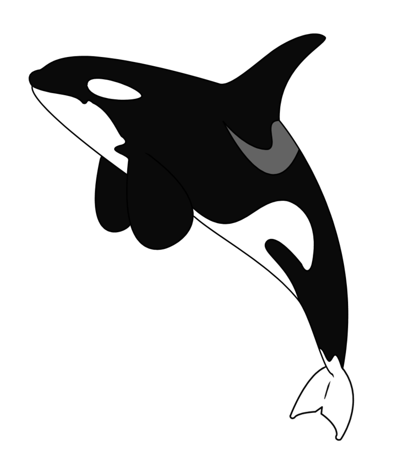 Pin Orca Tattoo Free Tattoos Designs Images on Pinterest