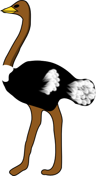 Ostrich clip art - vector clip art online, royalty free & public ...