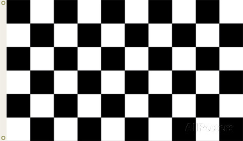 Nascar Checkered Flag with Grommets Flag at AllPosters.com