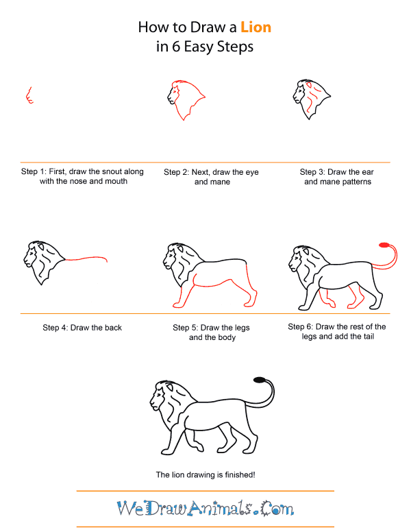 how-to-draw-a-lion-step-by- ...