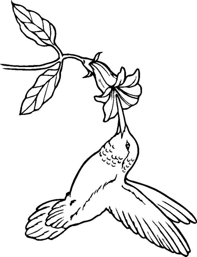 jamaica coloring pages print free - photo #33