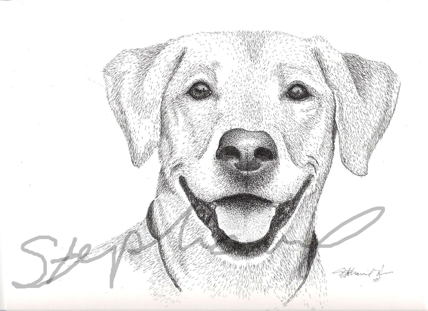 Line Drawings Of Dogs Cliparts Co - Resimkoy