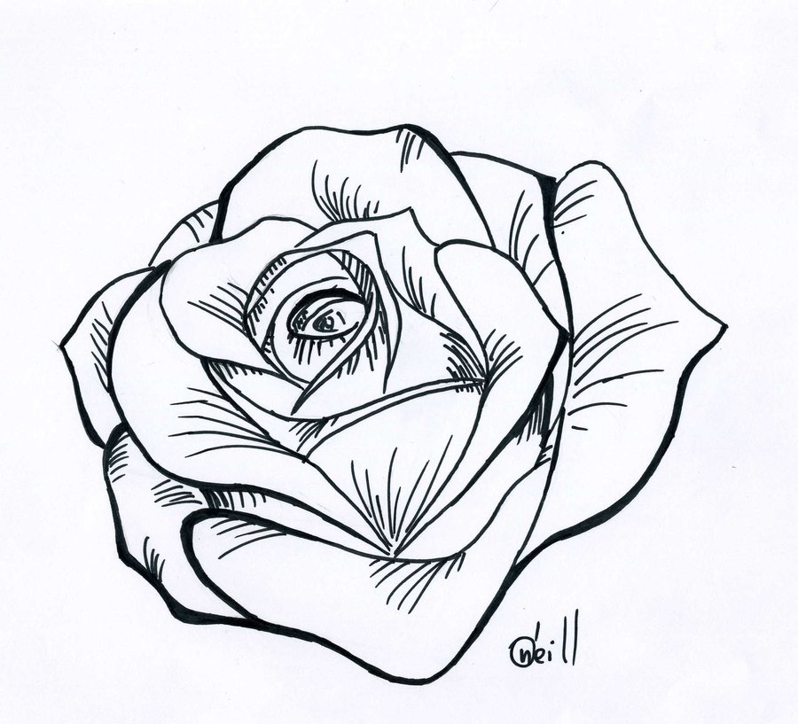 Black And White Rose Drawing Cliparts.co