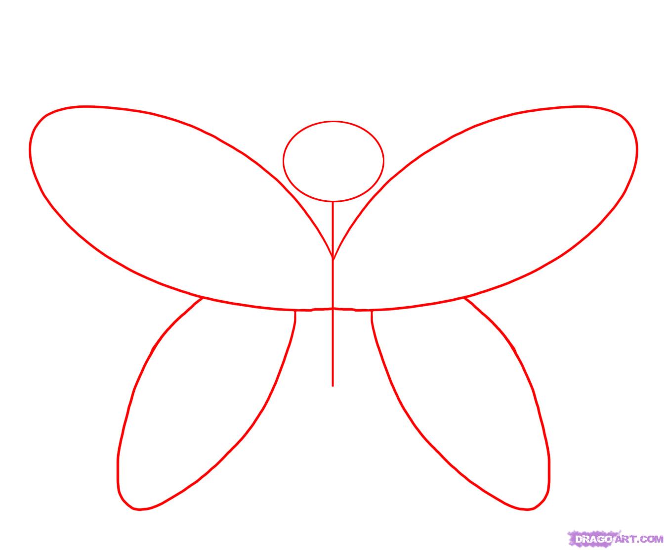 How to Draw a Cartoon Butterfly, Step by Step, Butterflies ...